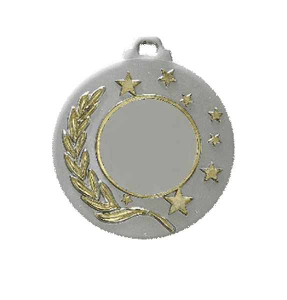 Medalj 50mm silver/guldmotiv