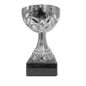 Silverfärgad