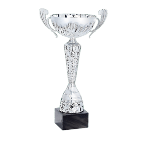 Silverfärgad pokal