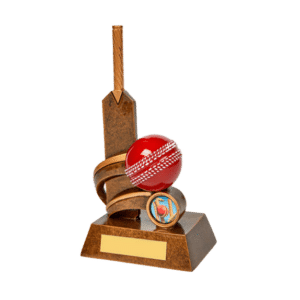 Statyett cricket