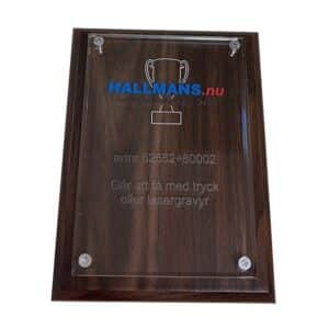 Akrylblock med trätavla 174x122mm